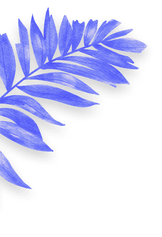 feuilles décoratives