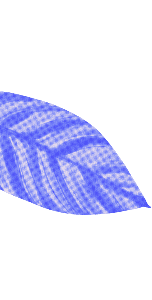 feuilles décoratives